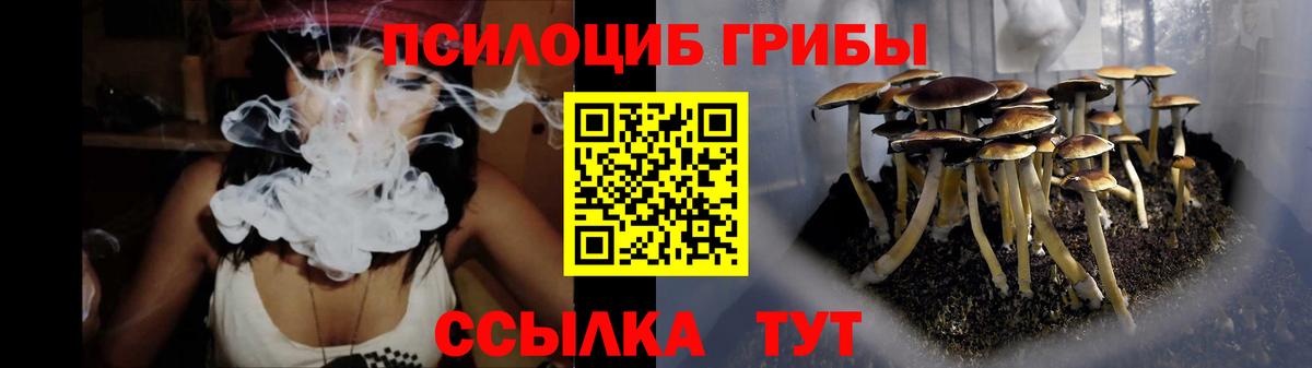 Псилоцибиновые грибы прущие грибы Майкоп